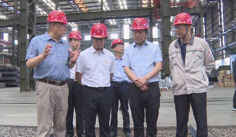 示范區(qū)管委會主任、代市長莊建球到我公司調(diào)研